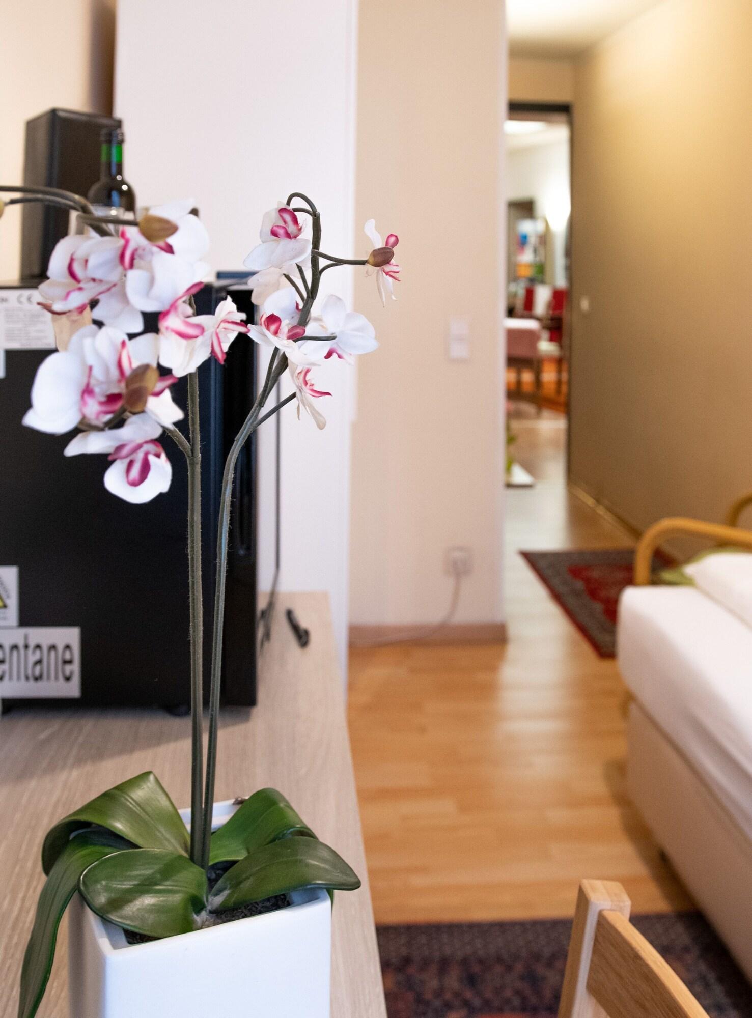 Pension Hotel Mariahilf Wina Bagian luar foto
